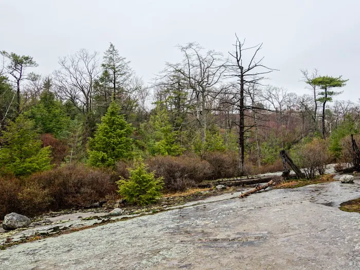 Surebridge Mountain Picture 7