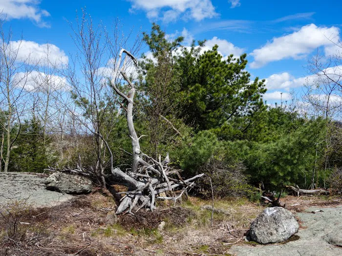 Surebridge Mountain Picture 1