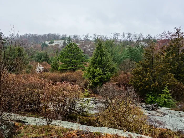 Surebridge Mountain Picture 8