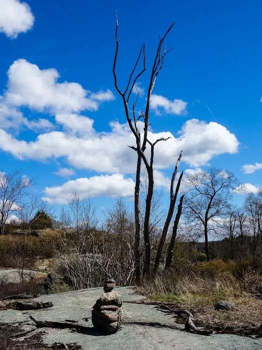 Surebridge Mountain Picture 4