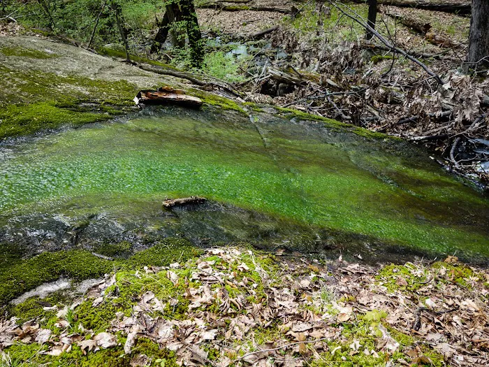 White Bar Trail northern trailhead Picture 10