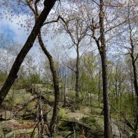 White Bar Trail northern trailhead ico