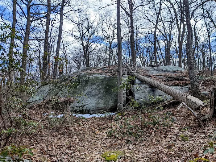 Conklin Mountain Picture 2