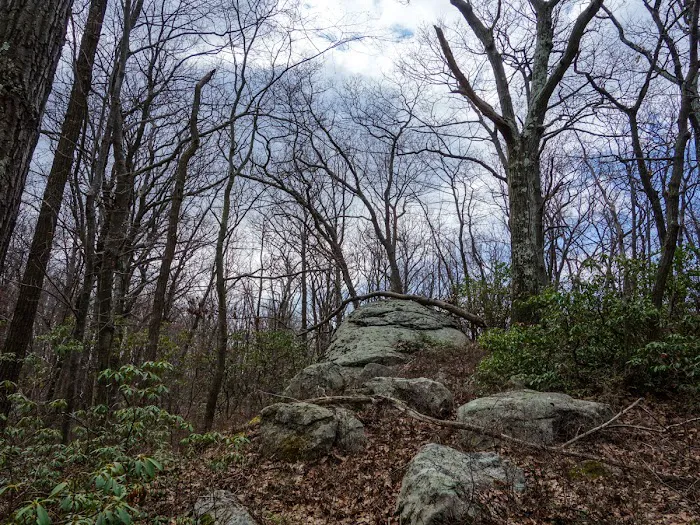 Conklin Mountain Picture 4