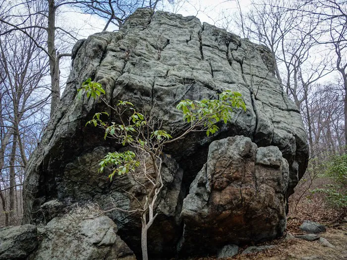 Conklin Mountain Picture 9