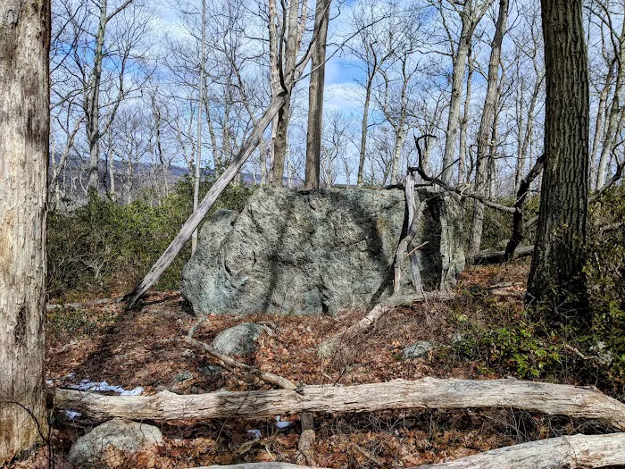 Conklin Mountain Picture 1