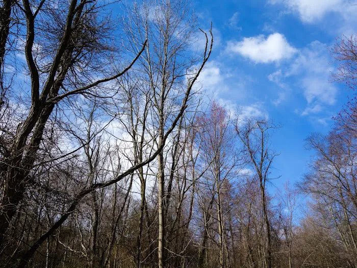 Conklin Mountain Picture 3