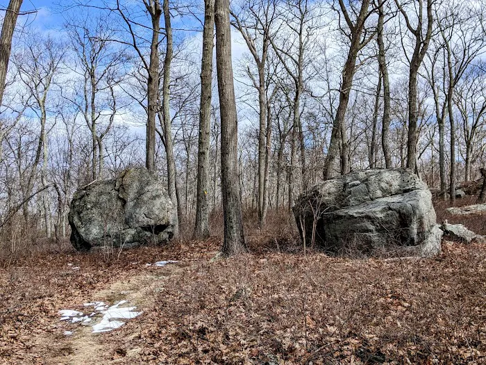 Conklin Mountain Picture 5