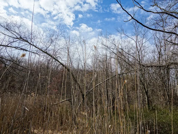 Conklin Mountain Picture 7