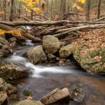 Diamond Creek Falls