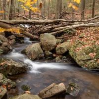 Diamond Creek Falls ico