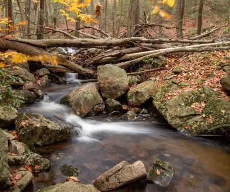 Diamond Creek Falls