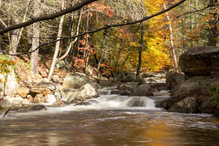 Diamond Creek Falls Picture 7