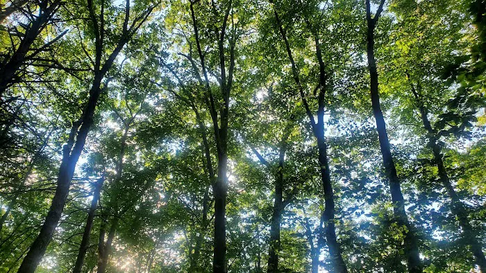 Kakiat Trail Picture 6
