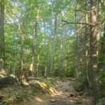 Kakiat Trail