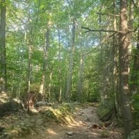 Kakiat Trail ico