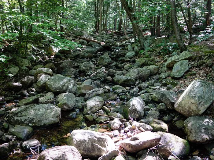 Kakiat Trail Picture 4