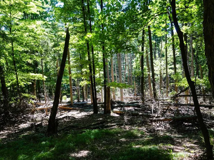 Kakiat Trail Picture 5