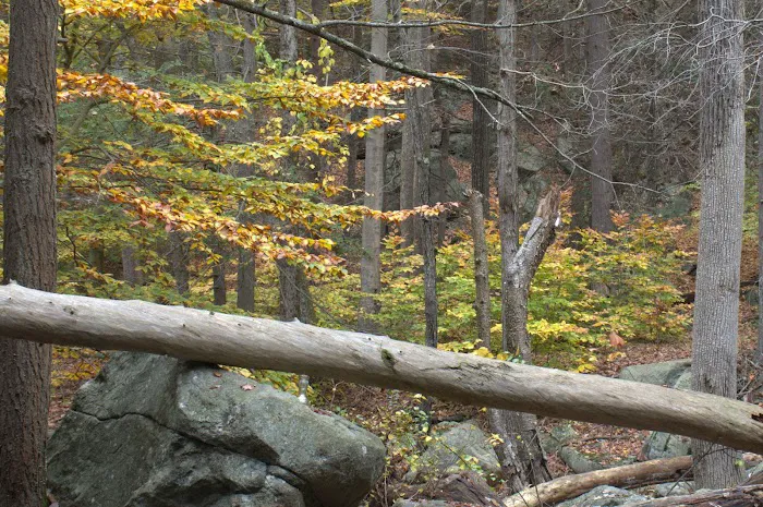 Kakiat Trail Picture 7