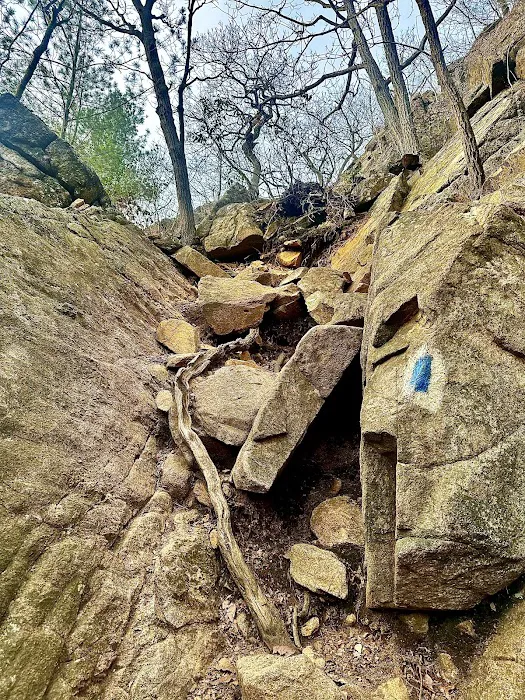 Reeves Brook-Seven Hills Junction Rock Scramble Picture 8