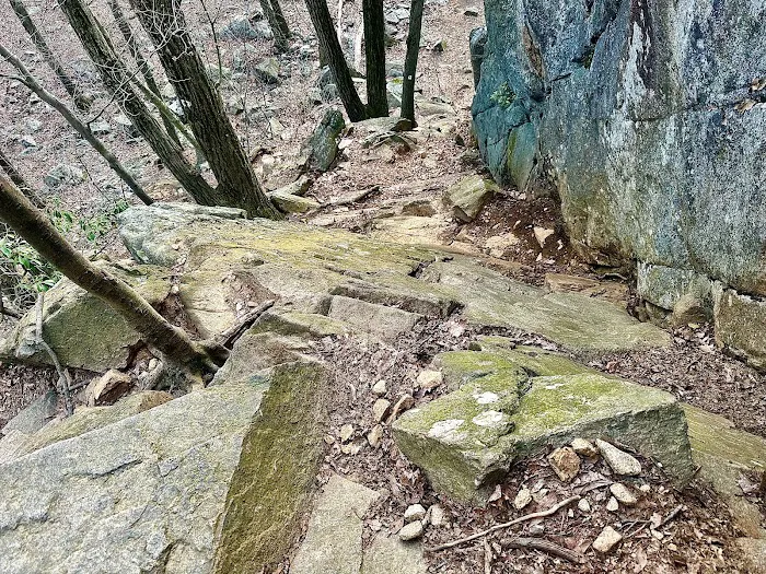 Reeves Brook-Seven Hills Junction Rock Scramble Picture 10