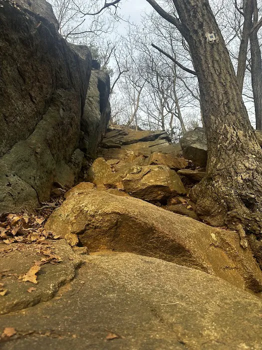 Reeves Brook-Seven Hills Junction Rock Scramble Picture 6