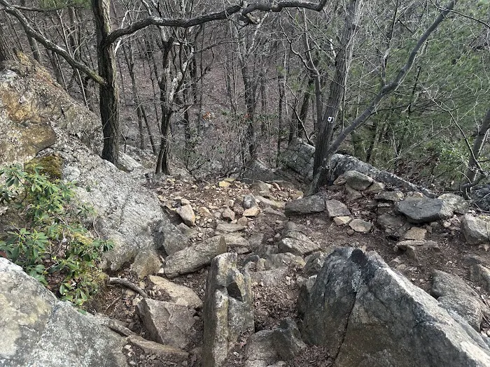 Reeves Brook-Seven Hills Junction Rock Scramble Picture 1