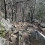 Reeves Brook-Seven Hills Junction Rock Scramble