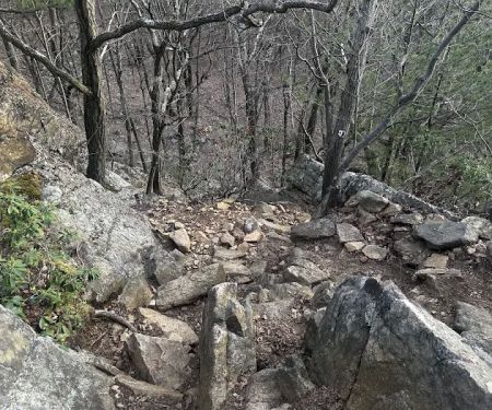 Reeves Brook-Seven Hills Junction Rock Scramble