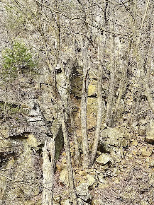 Reeves Brook-Seven Hills Junction Rock Scramble Picture 5