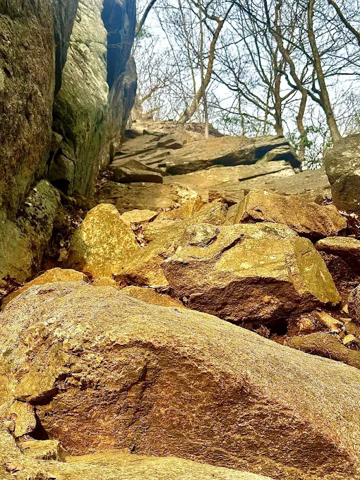 Reeves Brook-Seven Hills Junction Rock Scramble Picture 3