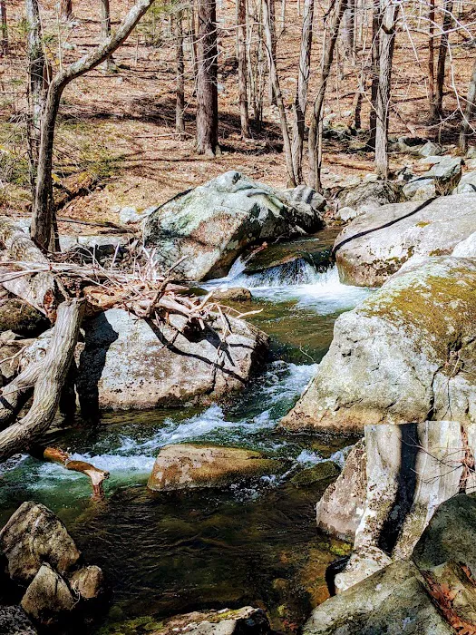 Stony Brook Trail Picture 6