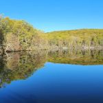 Stony Brook Trail