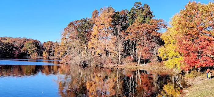 Stony Brook Trail Picture 3