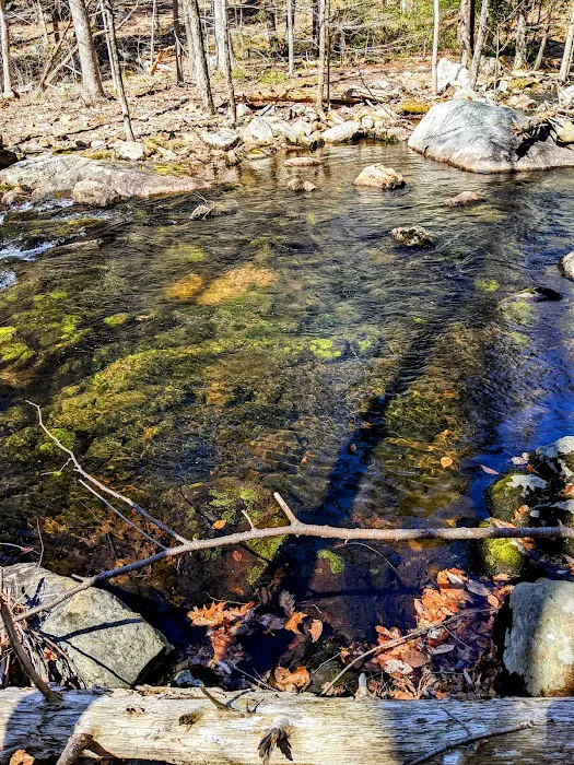 Stony Brook Trail Picture 8