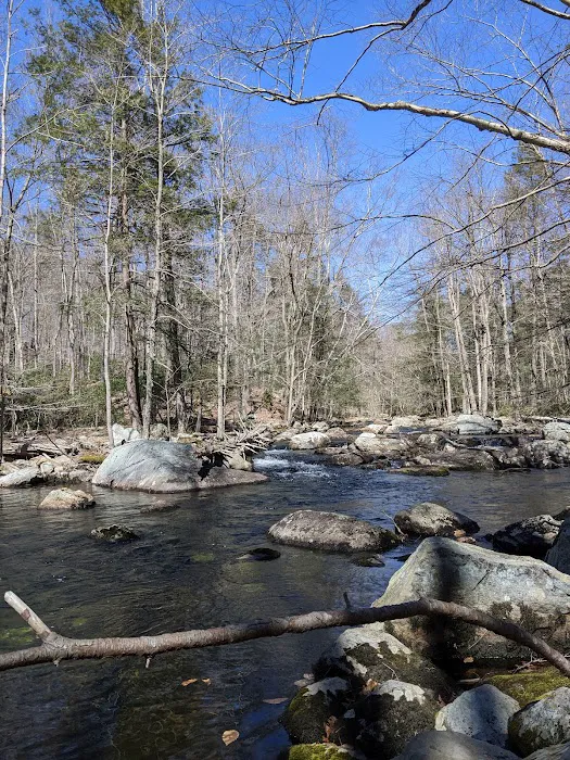Stony Brook Trail Picture 10