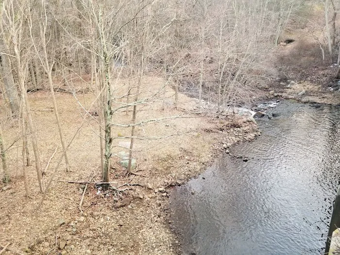 Stony Brook Trail Picture 9