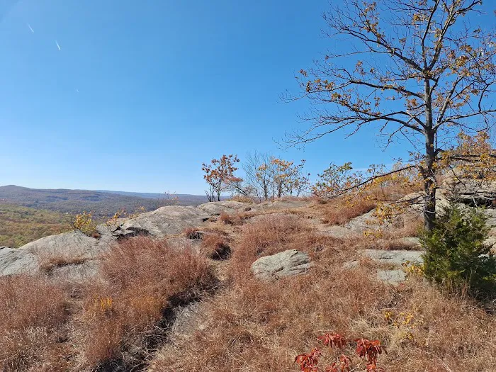 Blue Disc Trailhead Picture 3