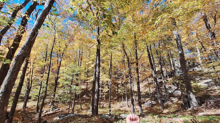 Blue Disc Trailhead Picture 4