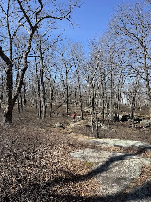 Lake Sebago Trailhead Picture 5