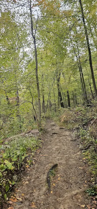 Breakneck Mountain Trail Picture 4