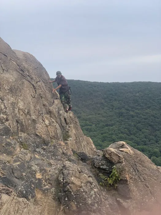 Breakneck Mountain Trail Picture 10