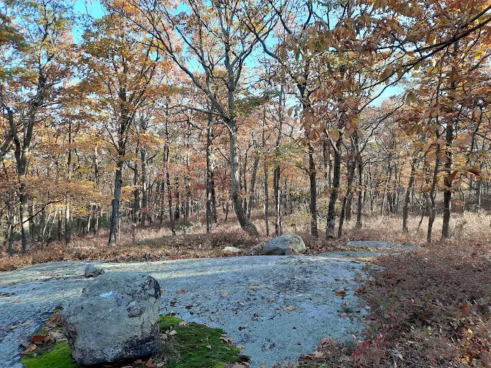 Breakneck Mountain Trail Picture 9