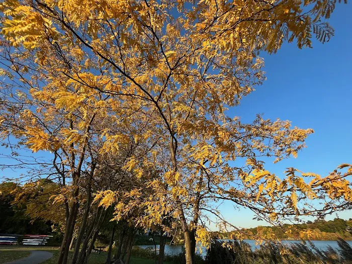 Lake Meahagh Park Picture 7