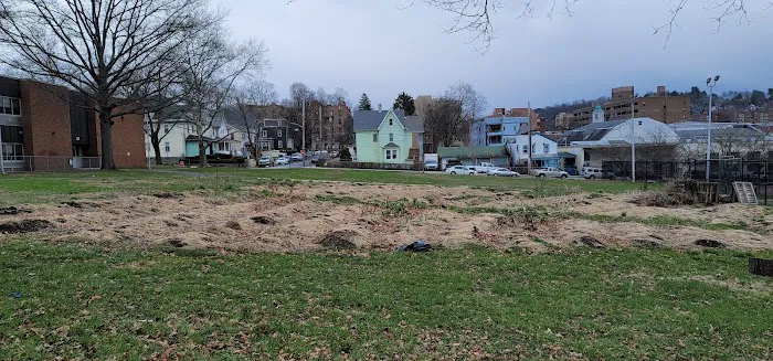Lepore Park Picture 6