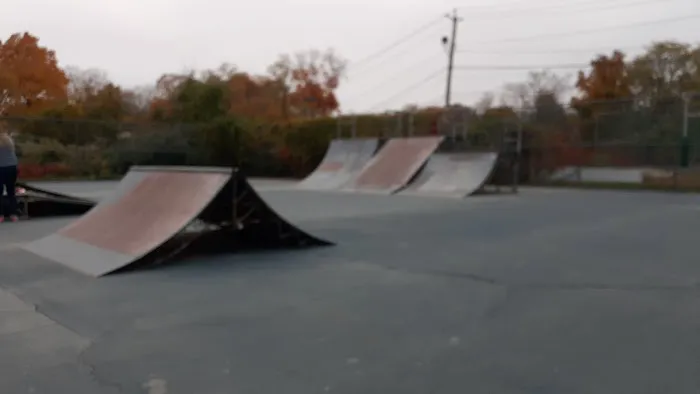 Cortlandt Skate Park Picture 1