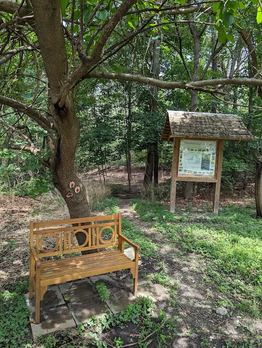 Rock Hill Park Picture 1