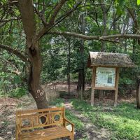 Rock Hill Park ico