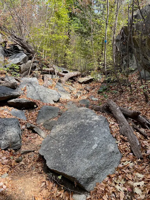 Timp Torne & Jones Point Path Trailhead Picture 9