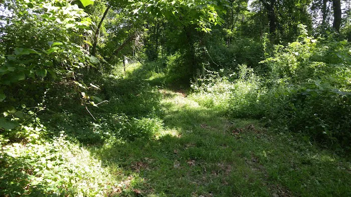 Danner Family Preserve Picture 5